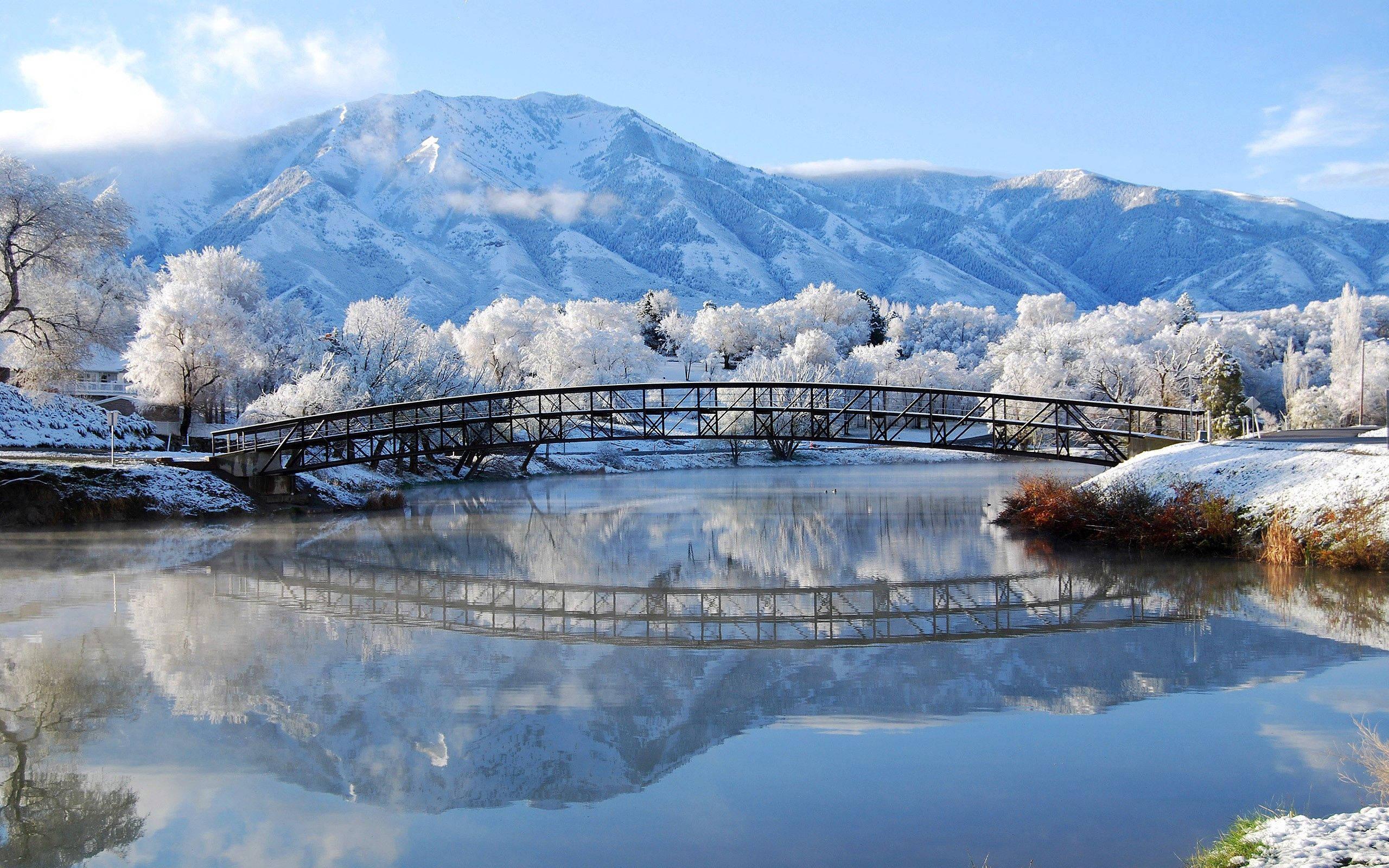 Winter Bridge Landscape — 2560x1600 wallpaper