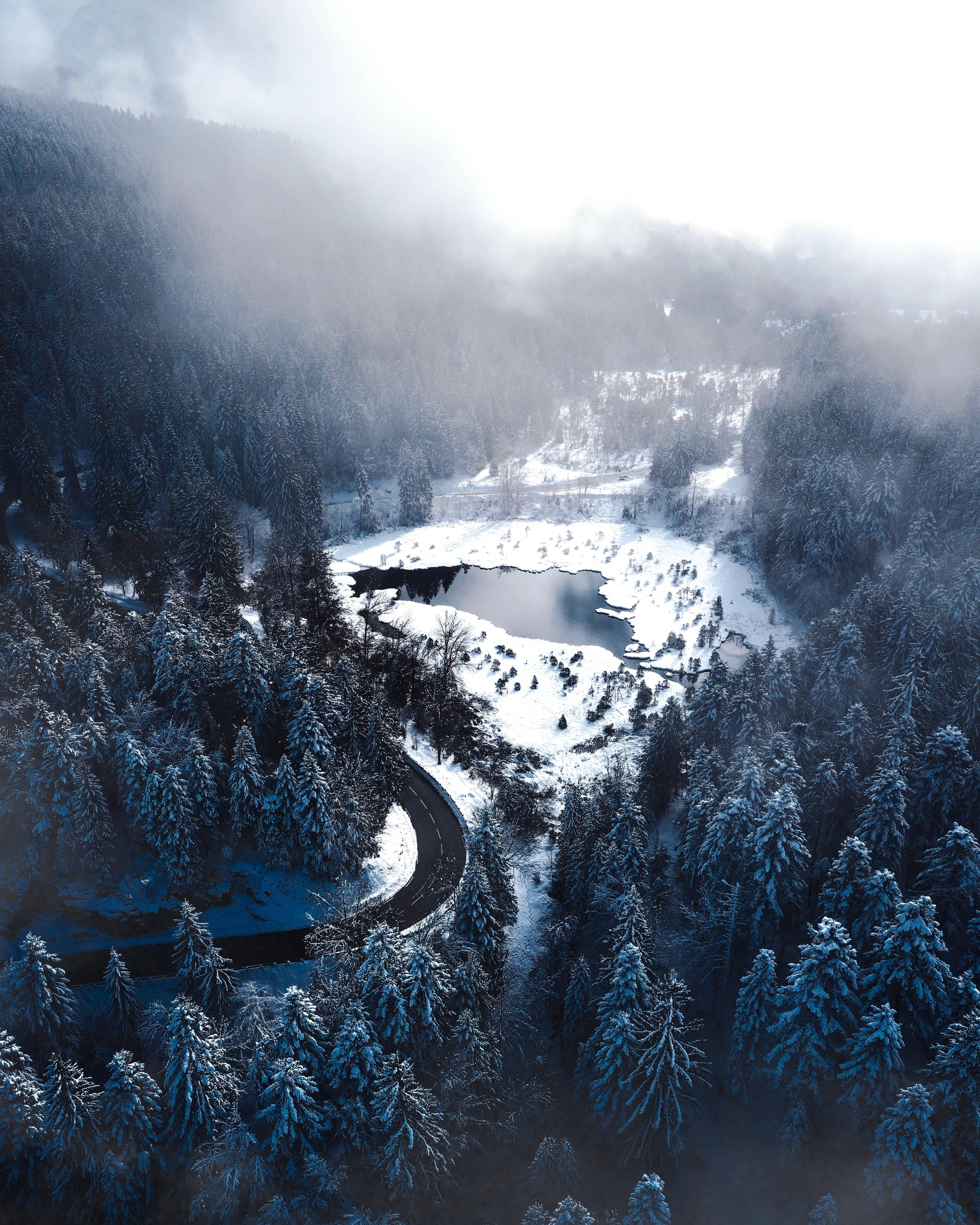 Winter Forest And Lake — 3276x4096 wallpaper