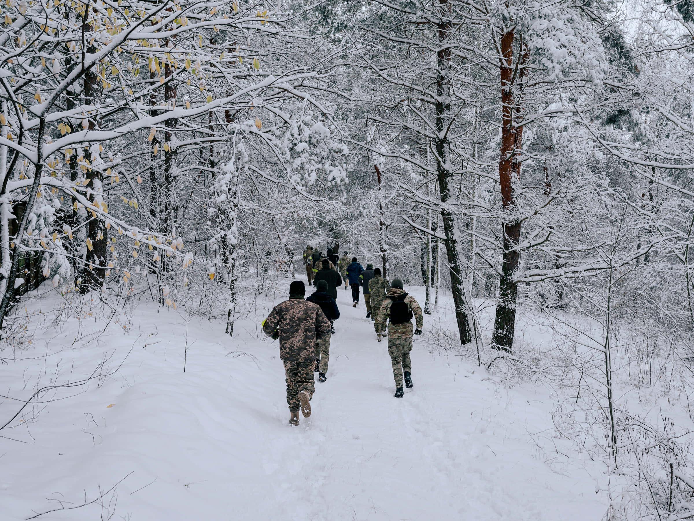 Winter Forest Hike Picture — 2400x1800 wallpaper