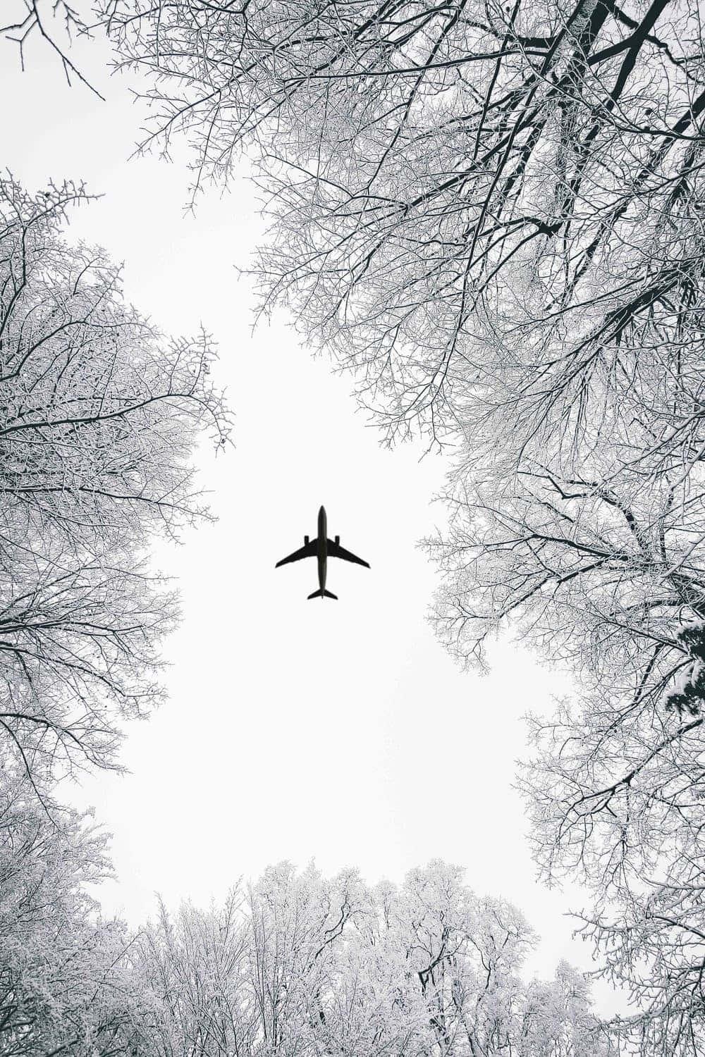 Winter Iphone Background — 1000x1500 wallpaper