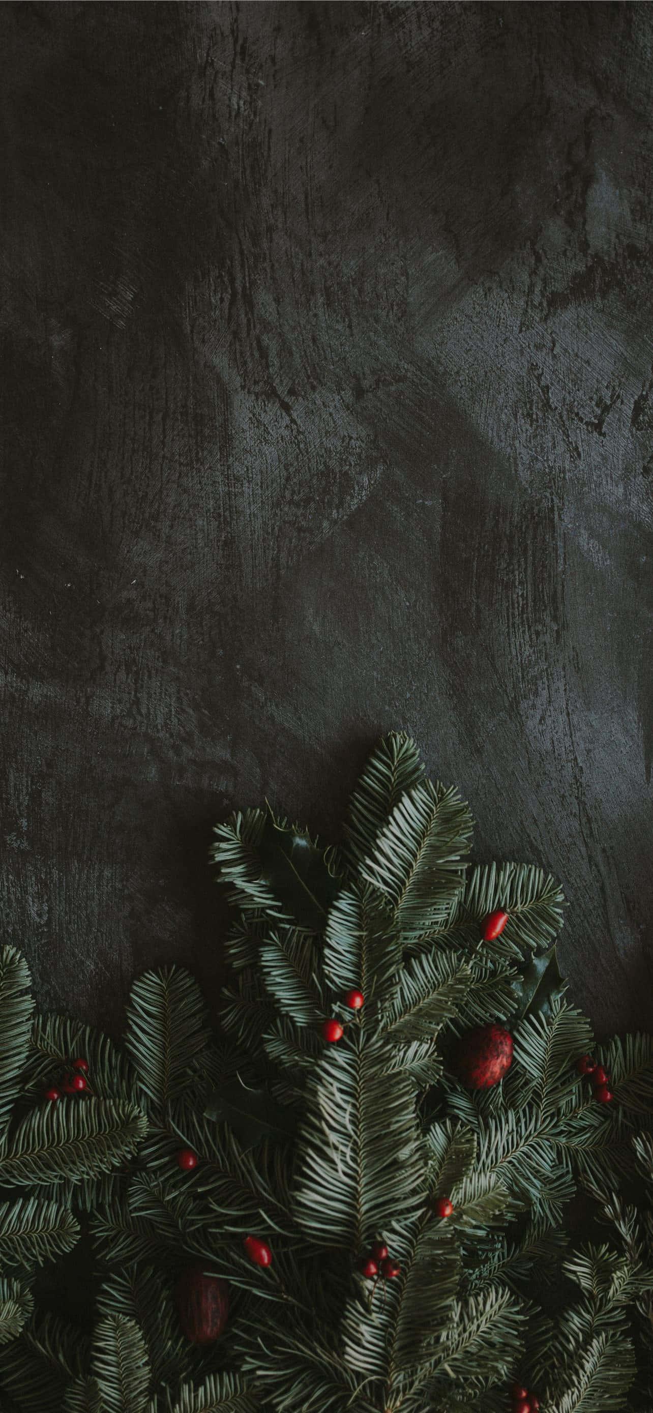 Winter Iphone Background — 1284x2778 wallpaper