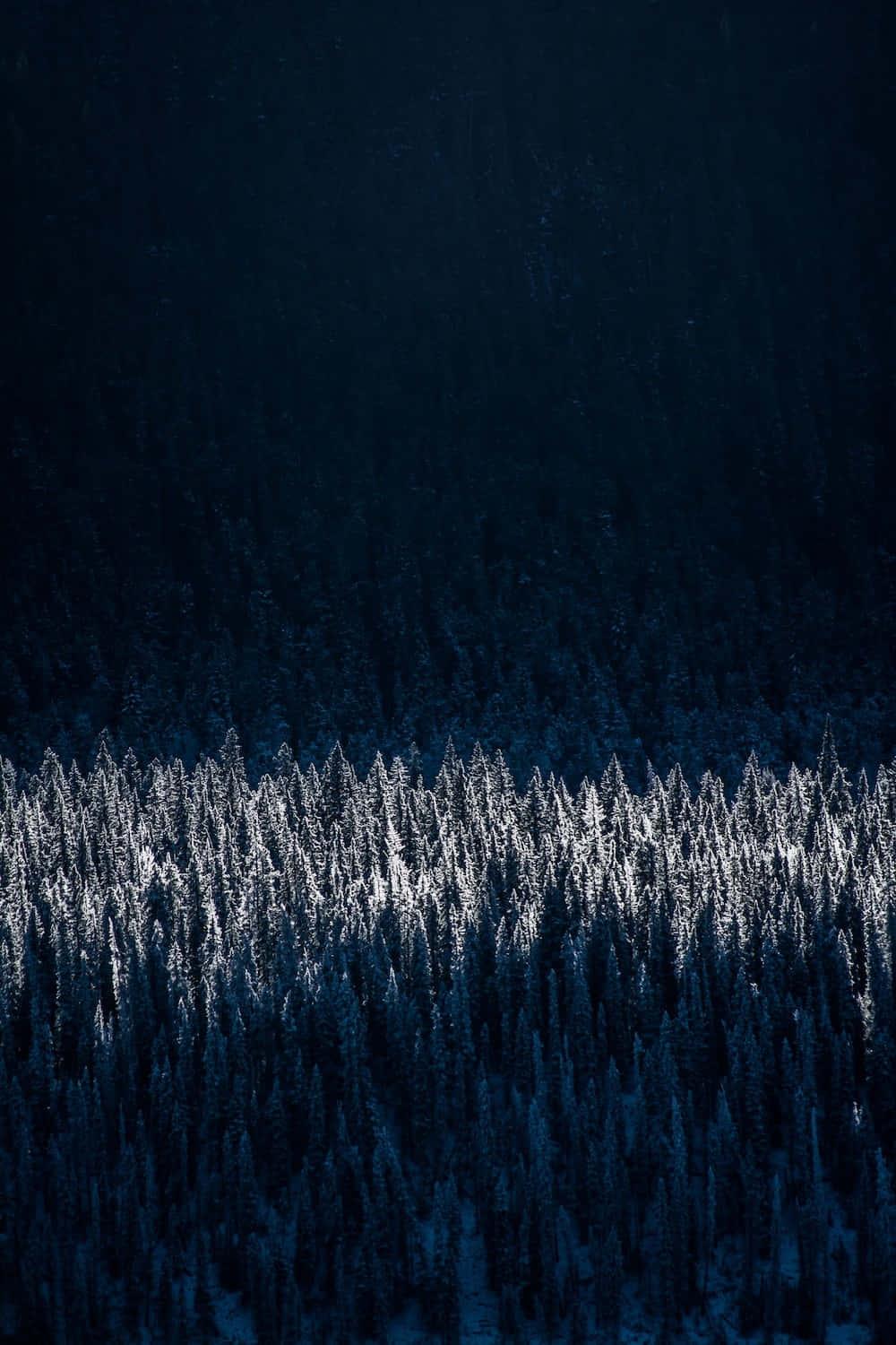 Winter Iphone Background — 1000x1500 wallpaper