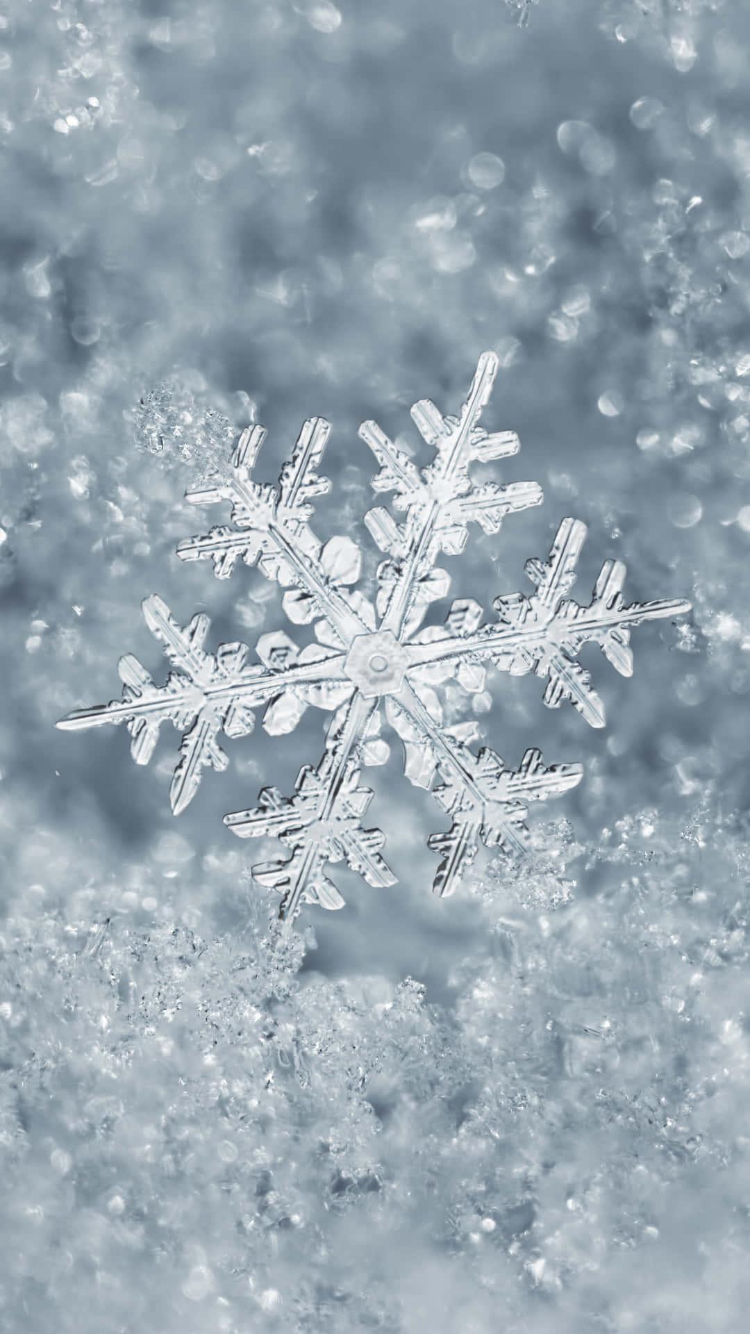 Winter Iphone Background — 1080x1920 wallpaper