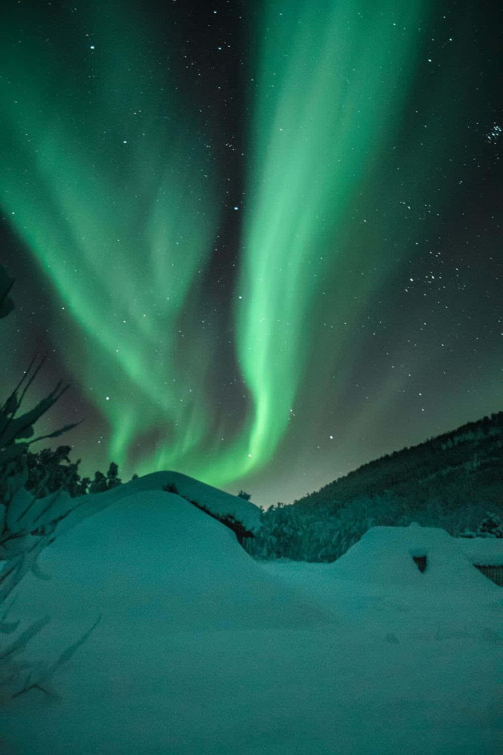 Winter Iphone Background — 1000x1500 wallpaper