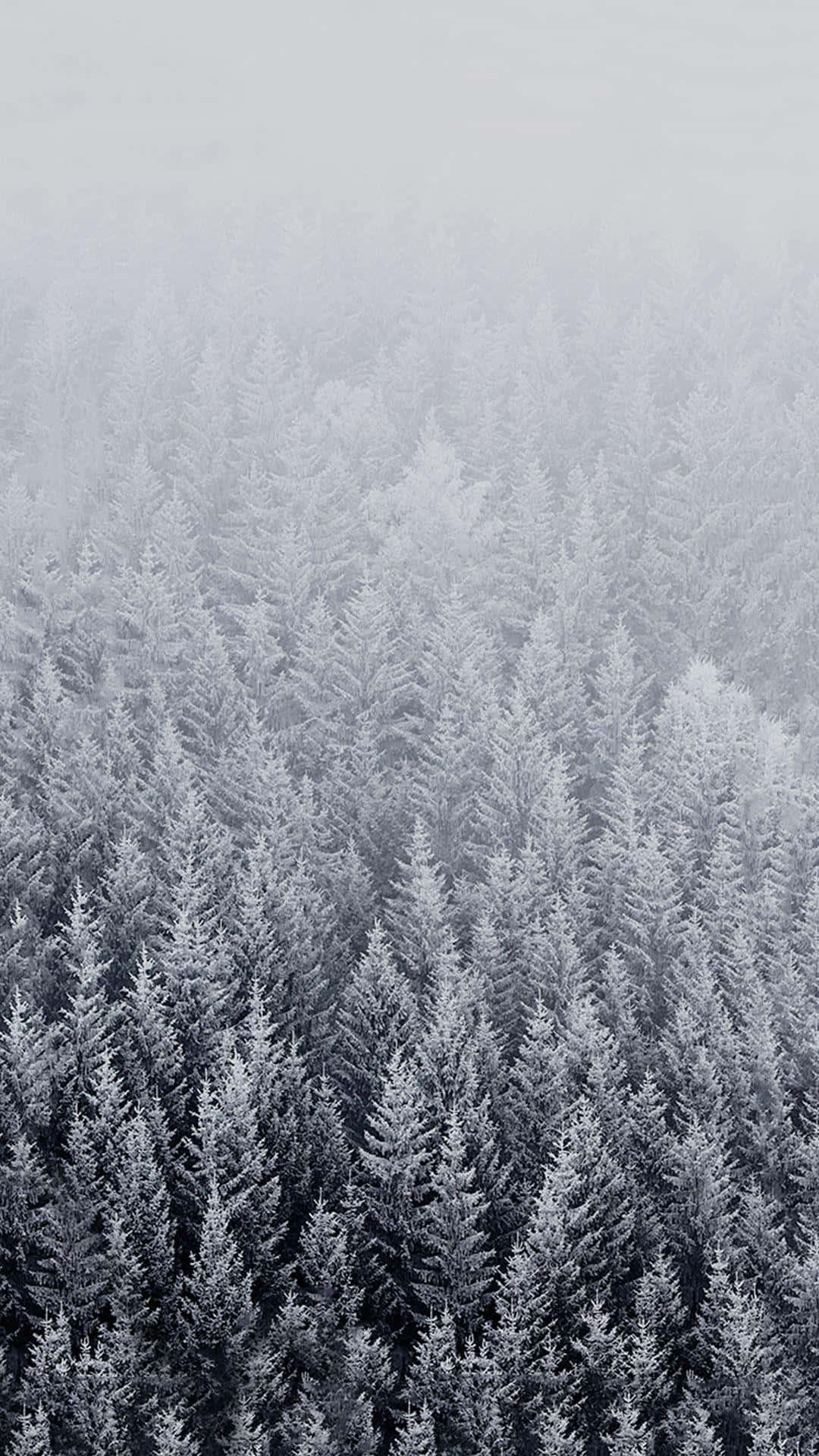 Winter Iphone Background — 1080x1920 wallpaper