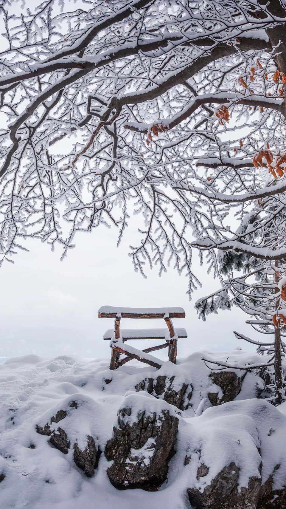 Winter Iphone Background — 960x1707 wallpaper