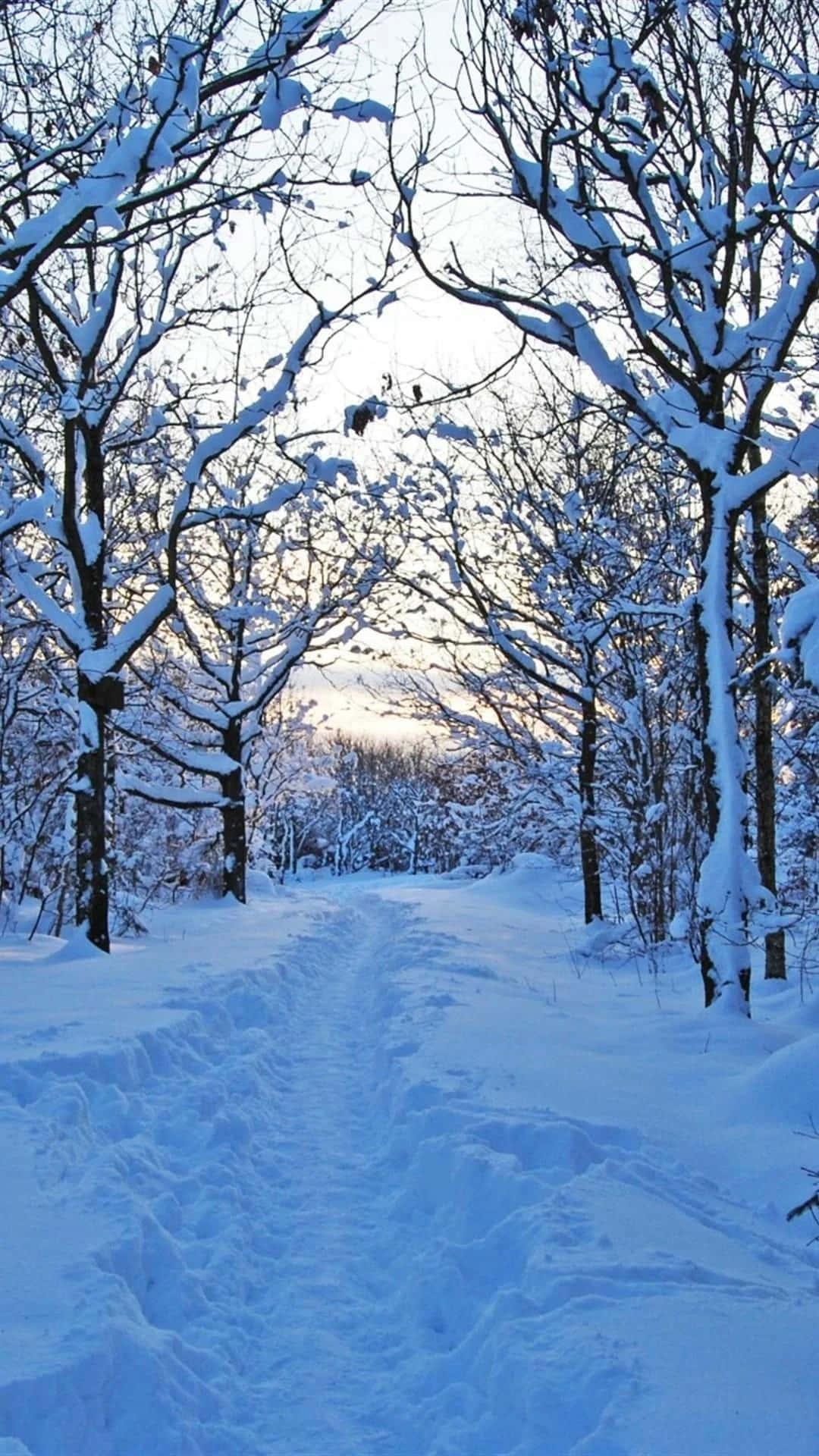 Winter Iphone Background — 1080x1920 wallpaper