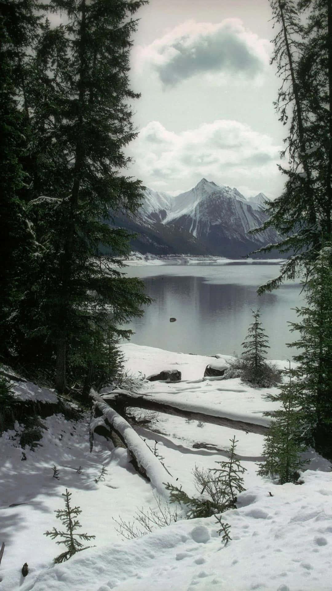 Winter Iphone Background — 1080x1920 wallpaper