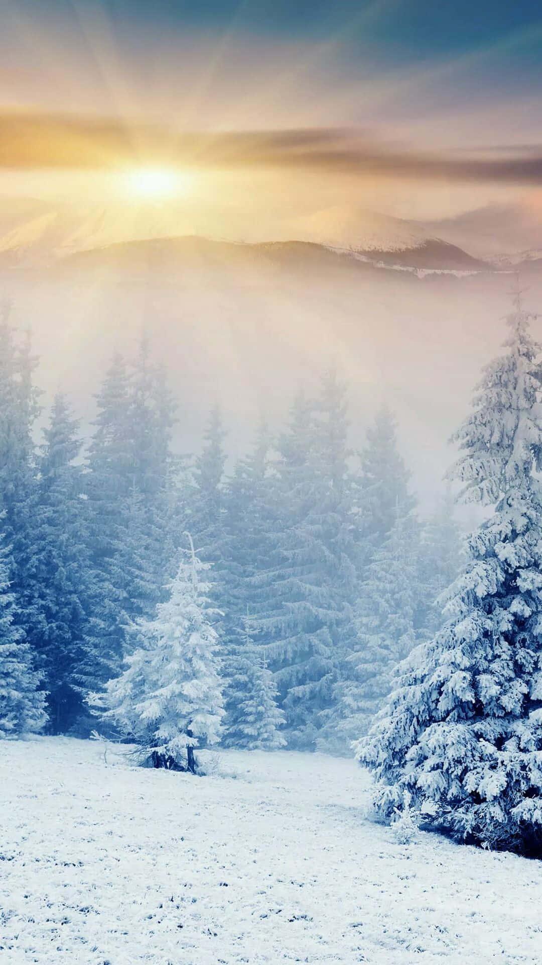 Winter Iphone Background — 1080x1920 wallpaper