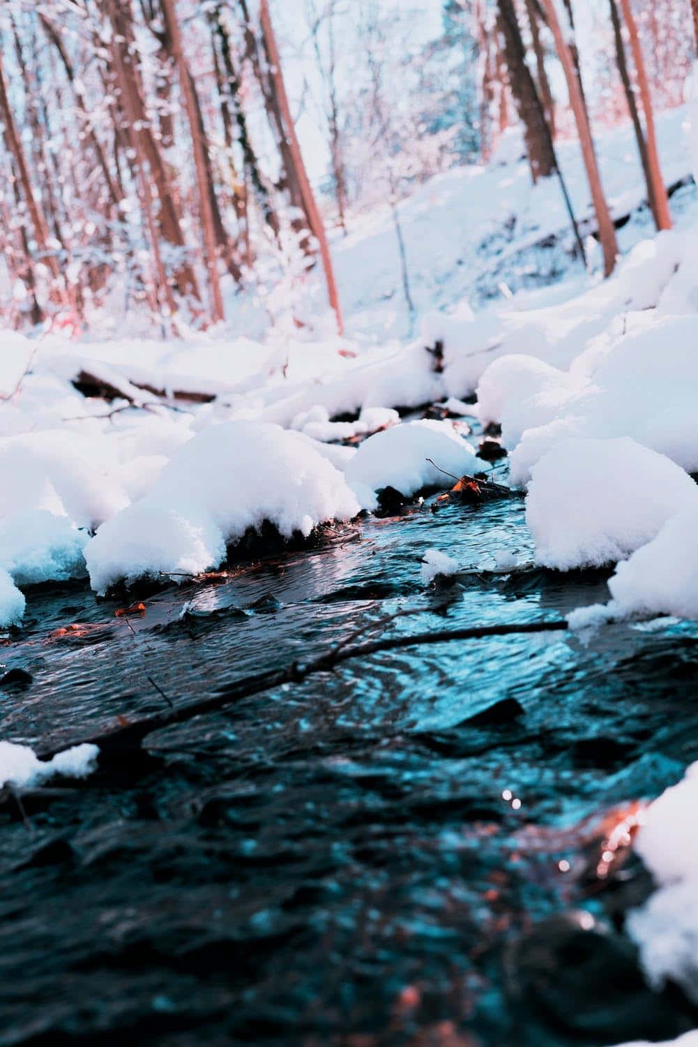 Winter Iphone Background — 1001x1500 wallpaper