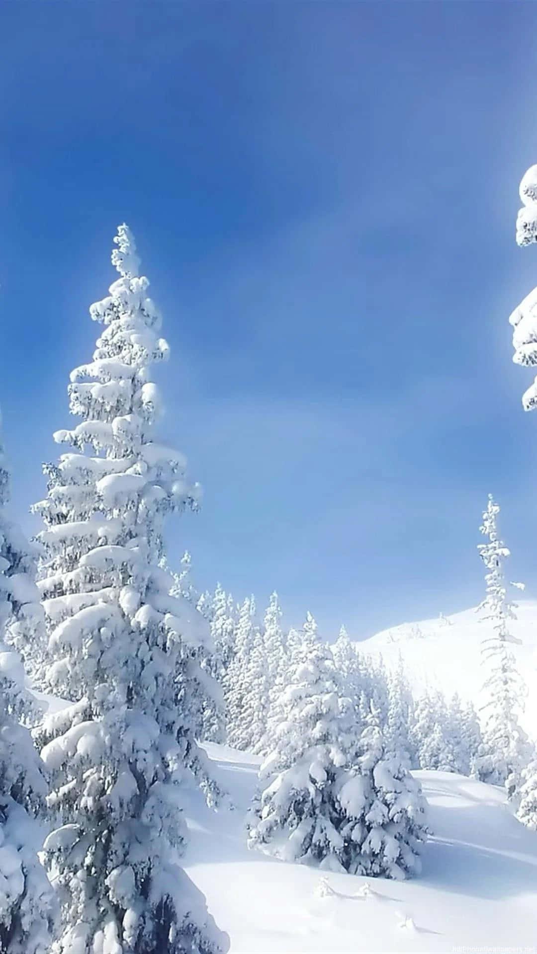 Winter Iphone Background — 1080x1920 wallpaper