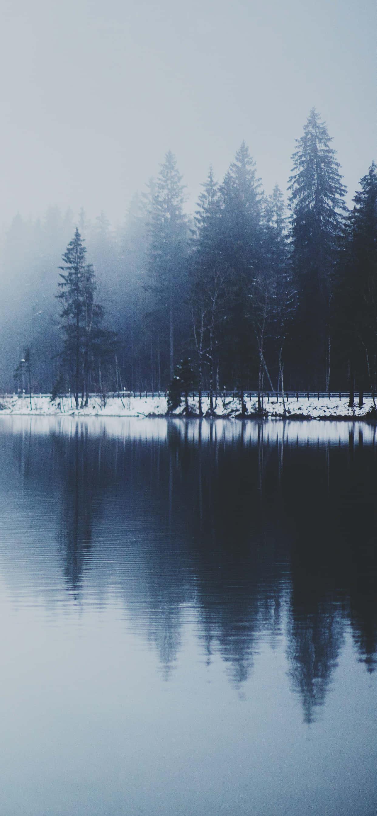 Winter Iphone Background — 1242x2688 wallpaper