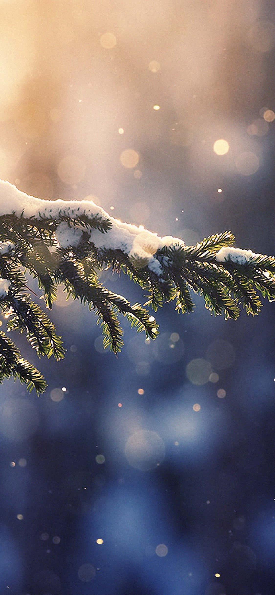 Winter Iphone Background — 1125x2436 wallpaper