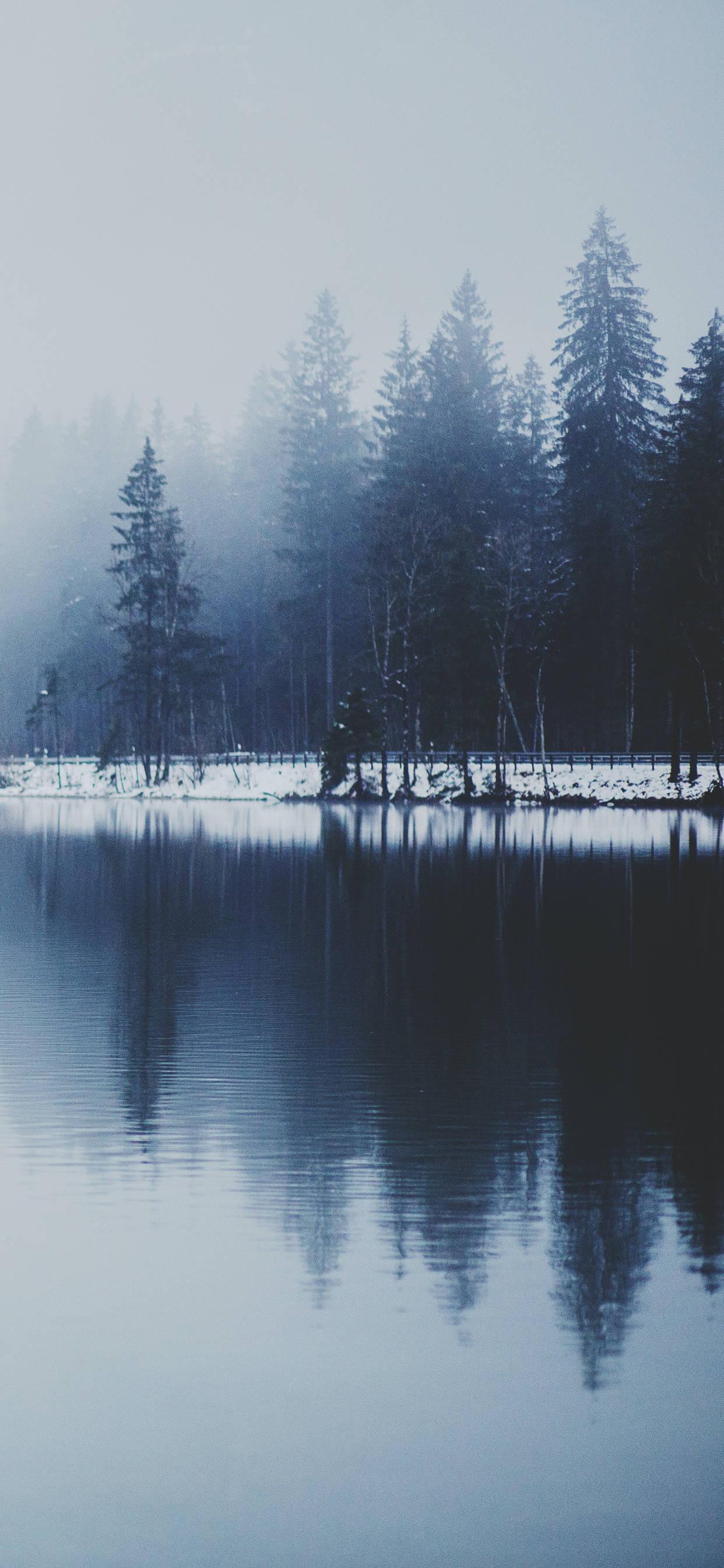 Winter iPhone Misty Lake — 1242x2688 wallpaper