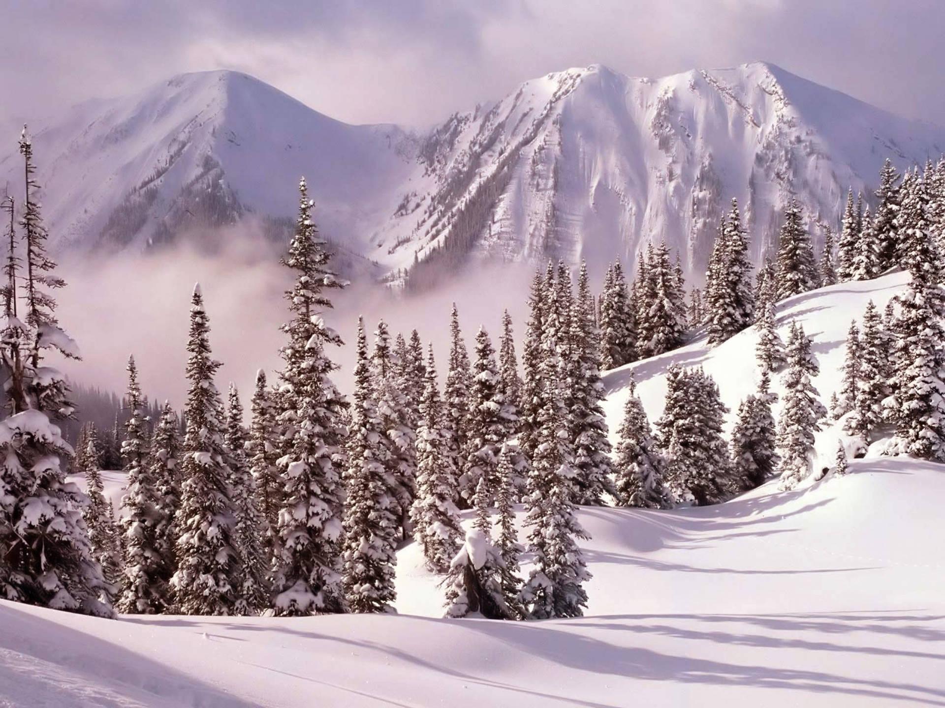 Winter Landscape Photography — 1920x1440 wallpaper
