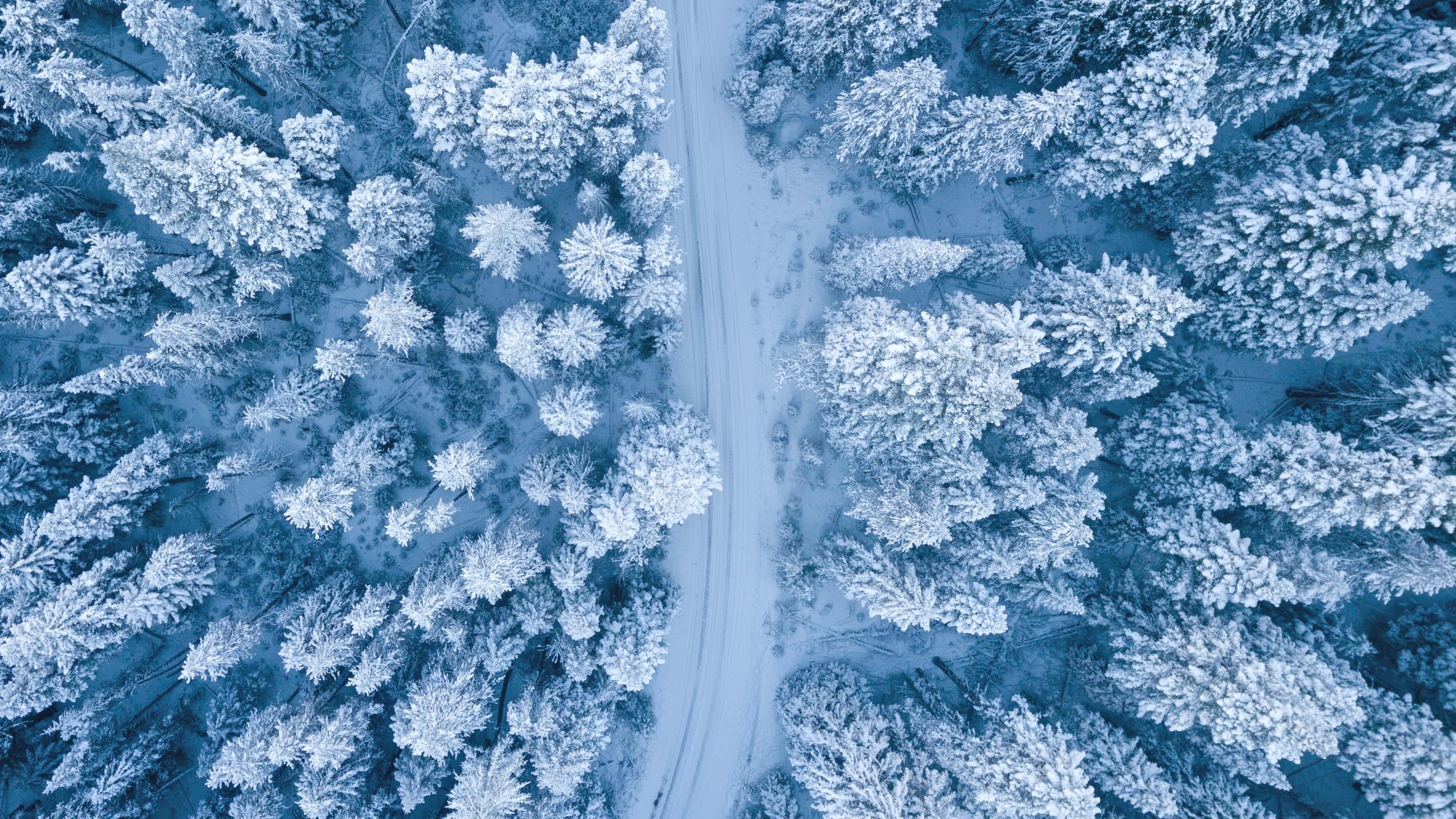 Winter pictures — 3200x1800 wallpaper