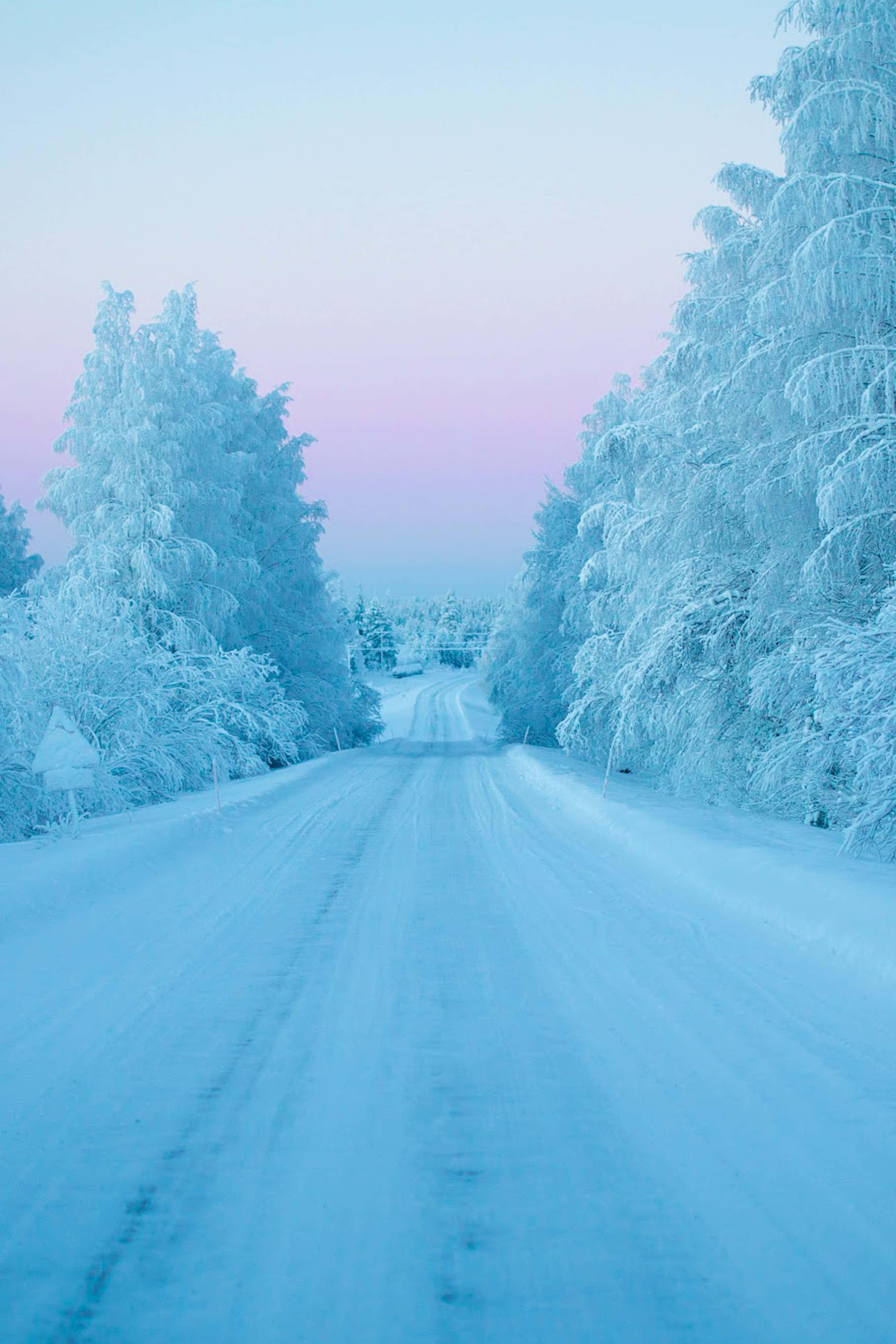 Winter pictures — 2664x3996 wallpaper