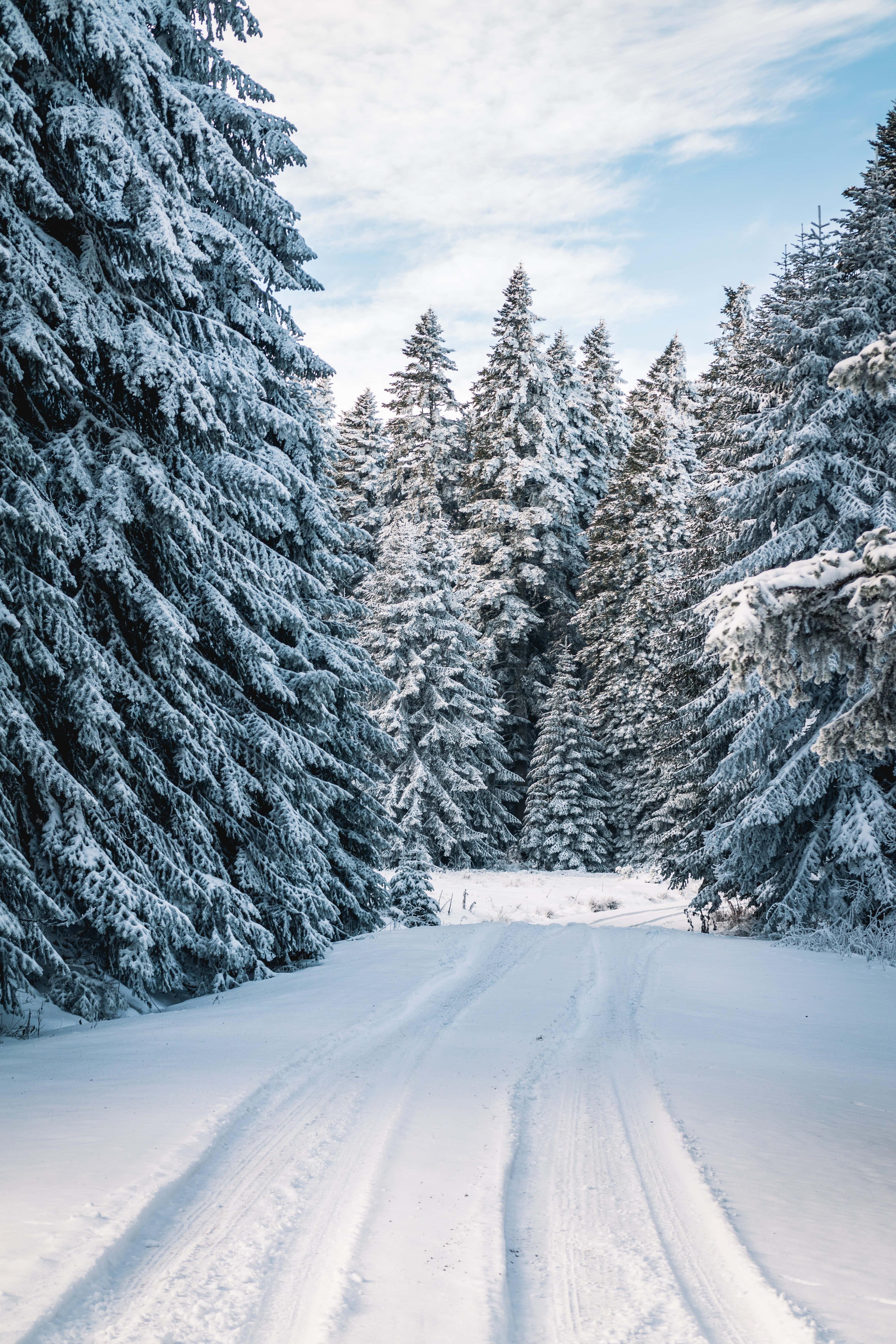 Winter pictures — 3648x5472 wallpaper