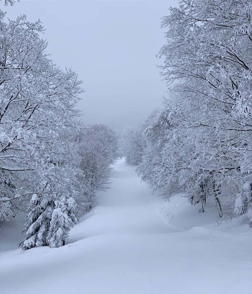 Winter Season Snow Picture — 1000x1166 wallpaper