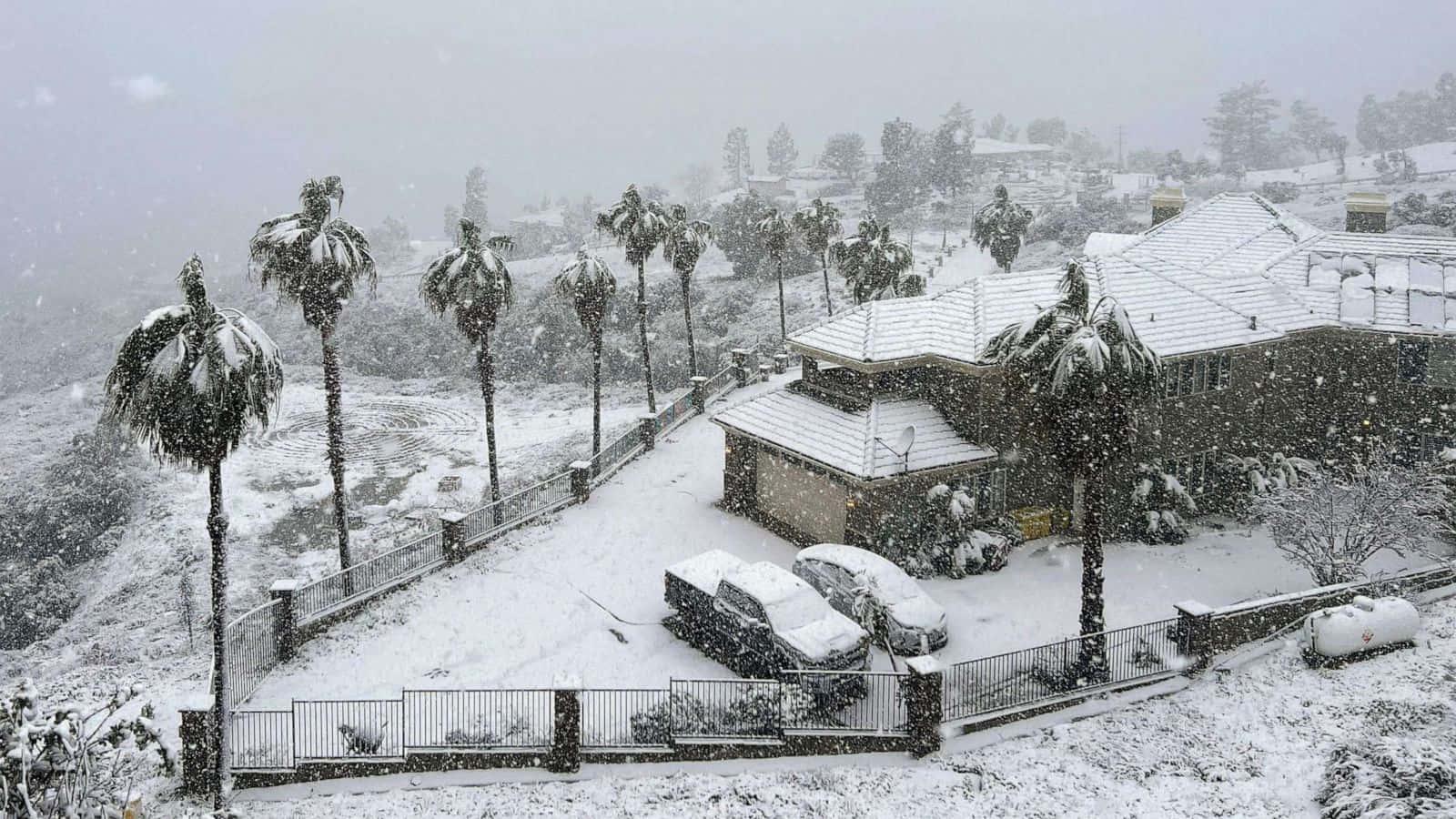 Winter Storm Season Picture — 1600x900 wallpaper