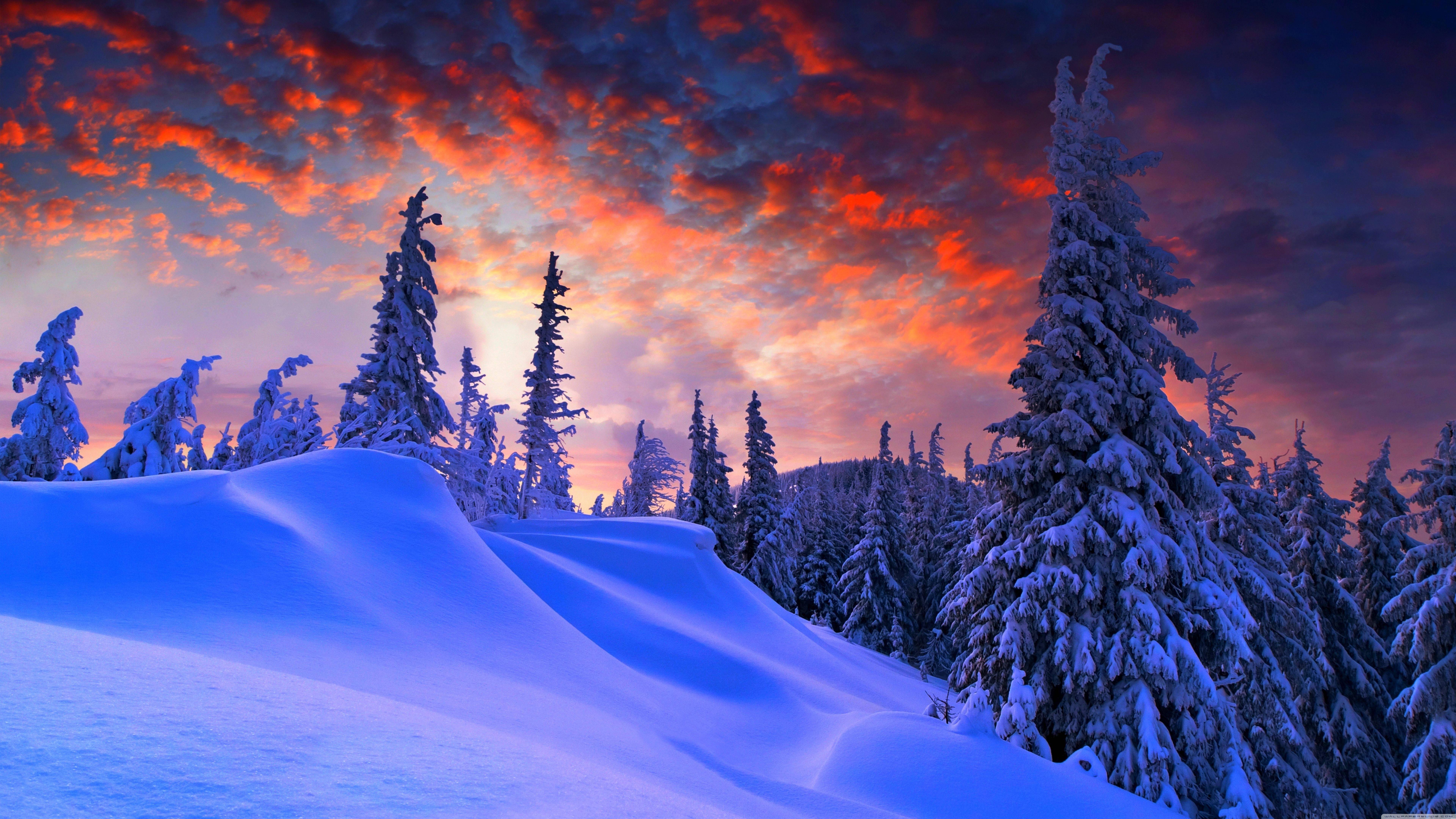 Winter Sunset Scenic — 7680x4320 wallpaper