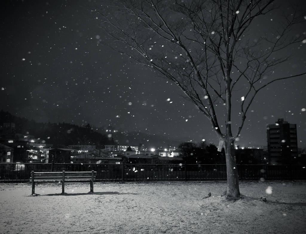 Winter Wonderland iPhone Wallpaper — 1024x782 wallpaper