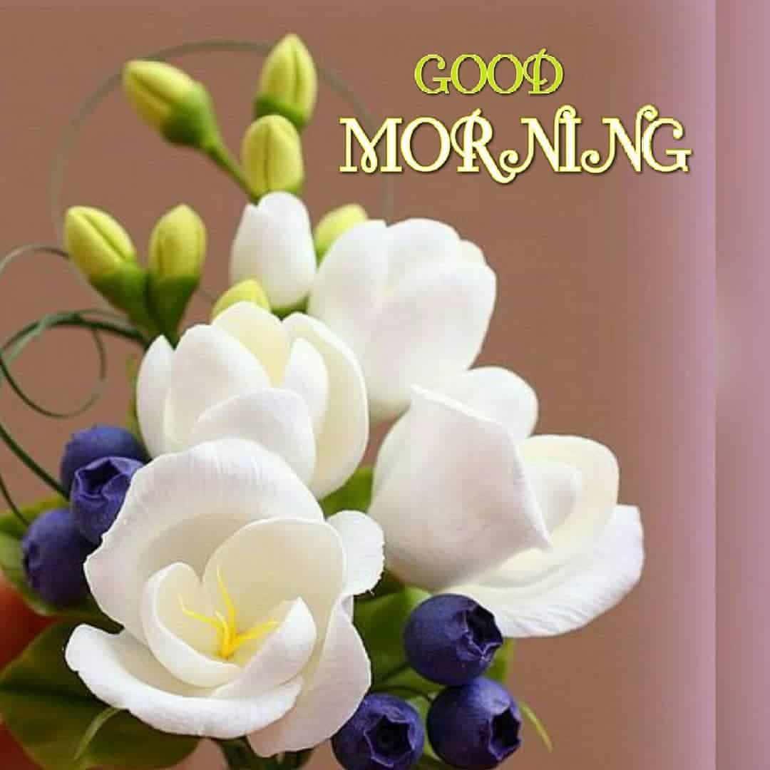 Wishing You a Bright and Beautiful Good Morning! — 1080x1080 wallpaper