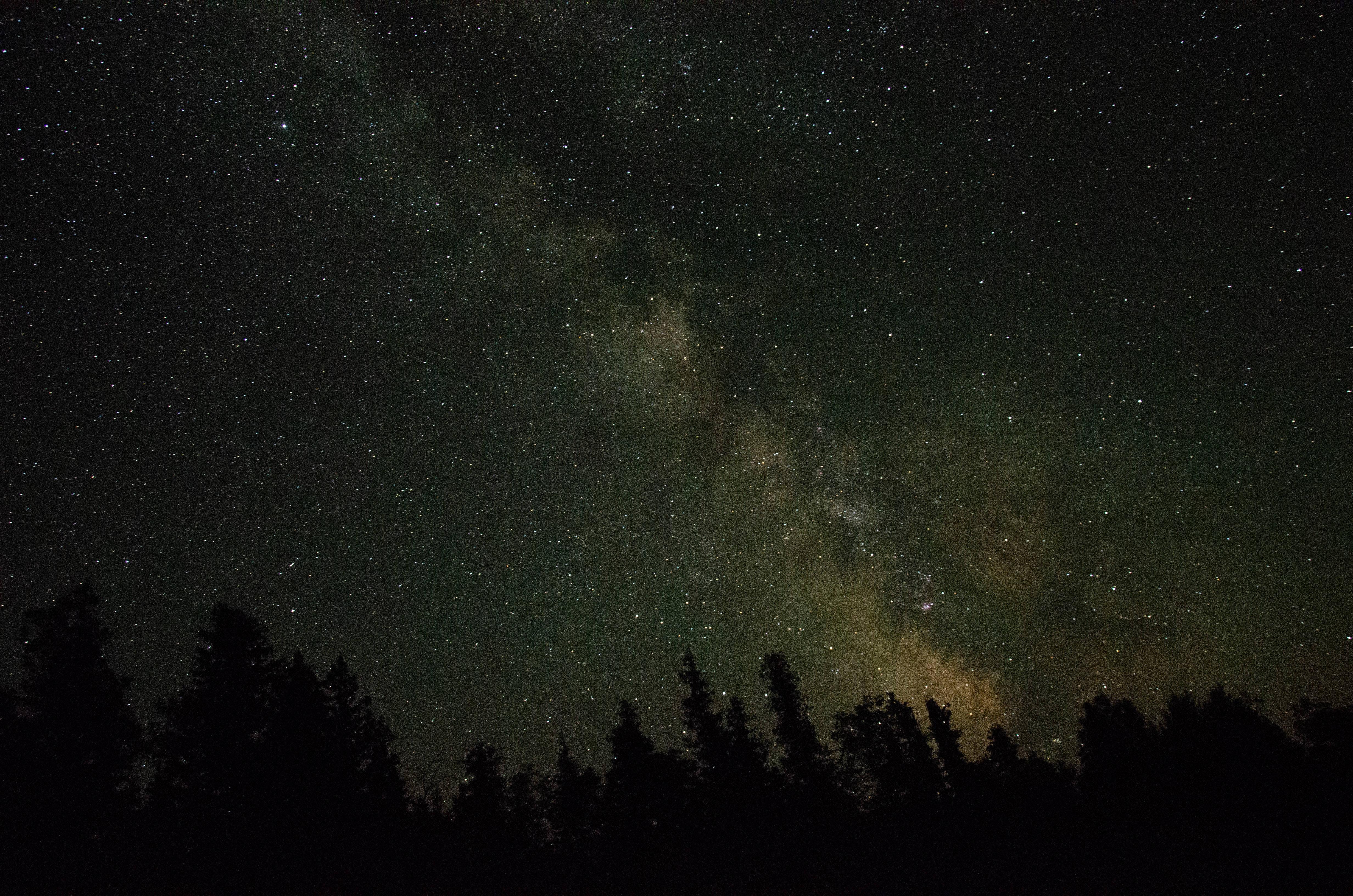 Witness a Magical Night Sky Glittering with Stars — 4928x3264 wallpaper