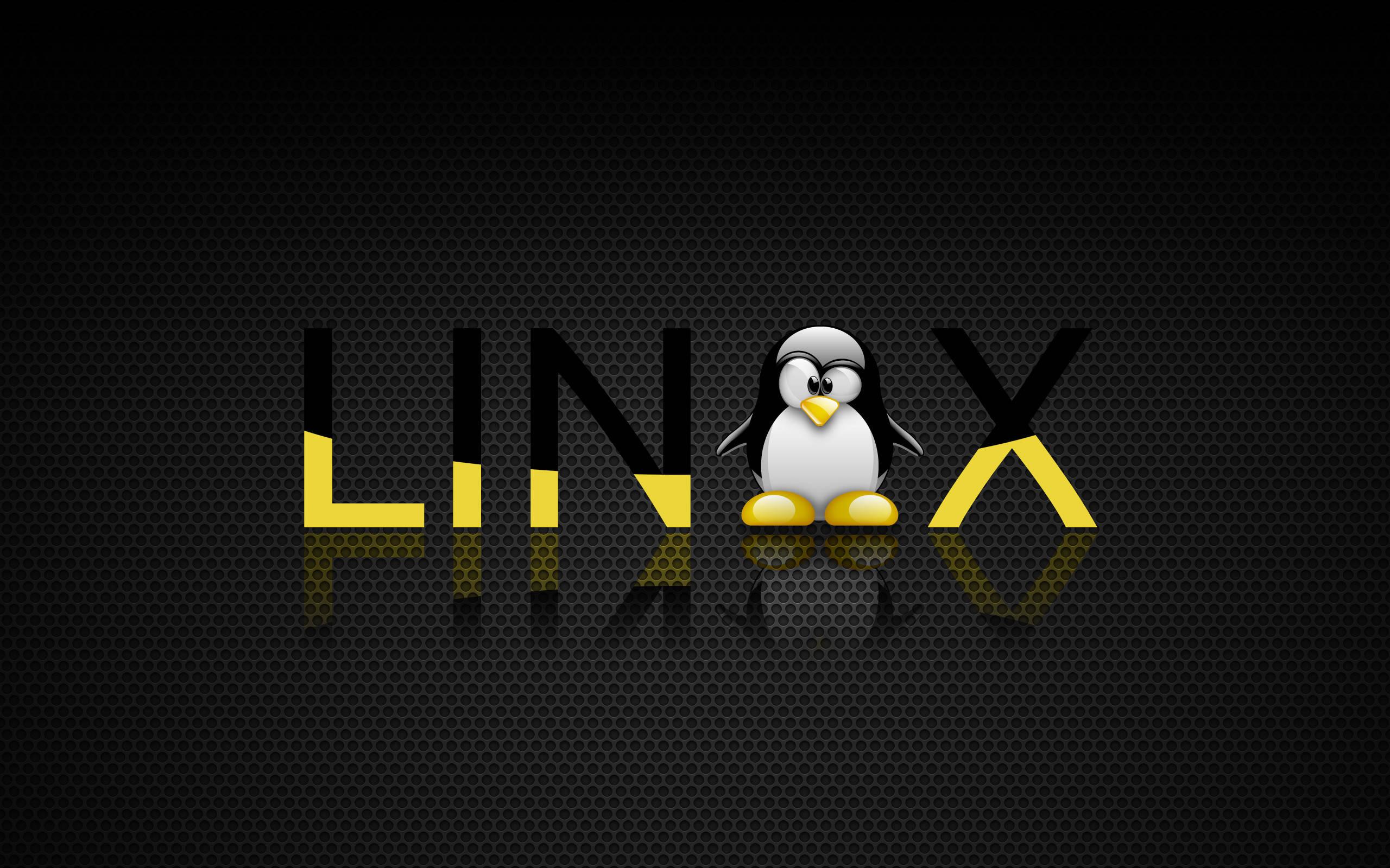 Yellow Black Linux Penguin Logo — 2560x1600 wallpaper