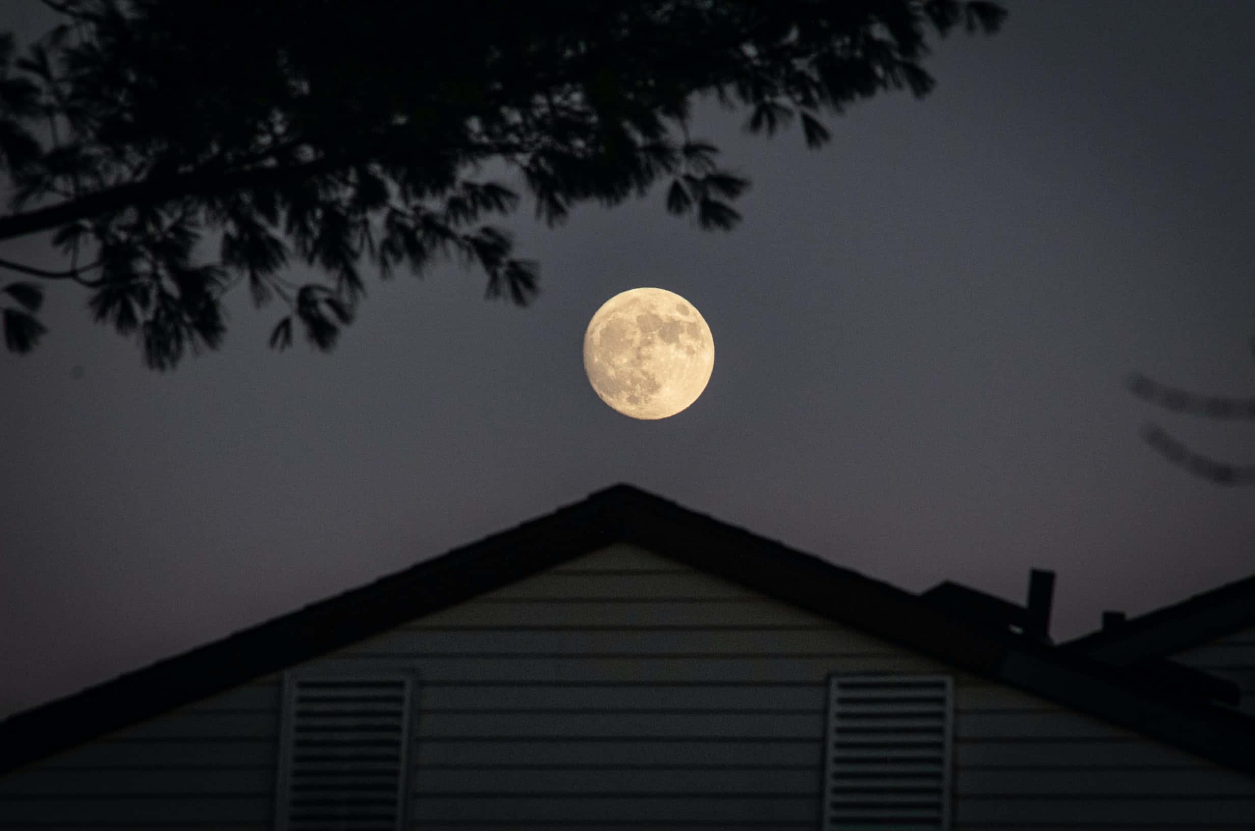 Yellow Full Moon Picture — 2464x1632 wallpaper
