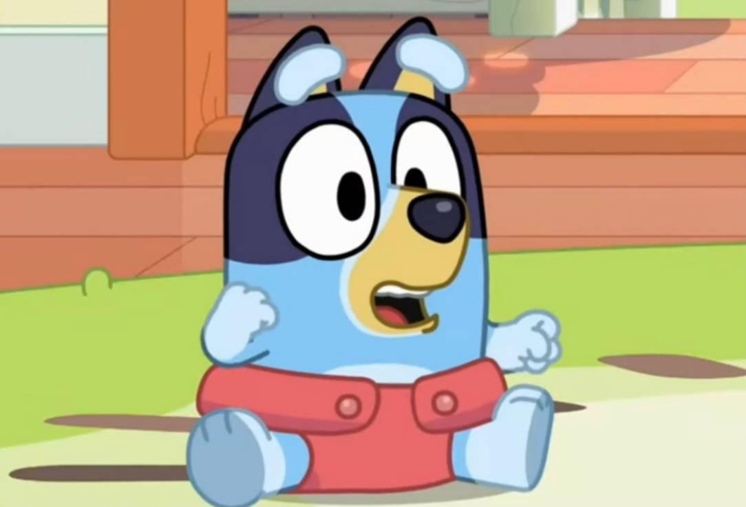 Young Bluey In Red Diaper — 1084x737 wallpaper